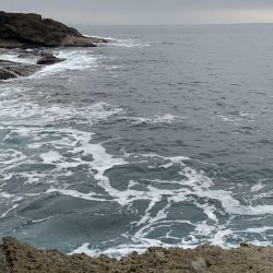 ヤリイカ エギング