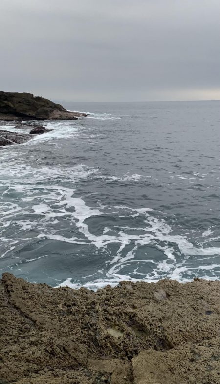 ヤリイカ エギング