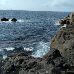 本年初釣行三宅島、地磯大荒れ湯の浜港へ場所移動。