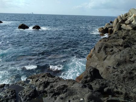 本年初釣行三宅島、地磯大荒れ湯の浜港へ場所移動。