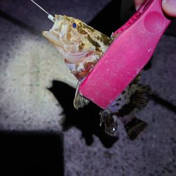 サーチワームでメバリング