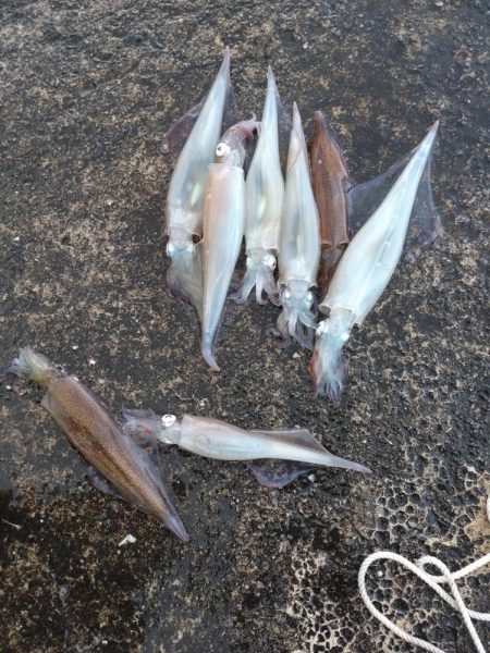 ビギナーズラック2