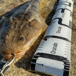 極寒の紀ノ川恐るべし！