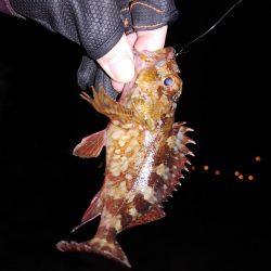 激渋メバリング