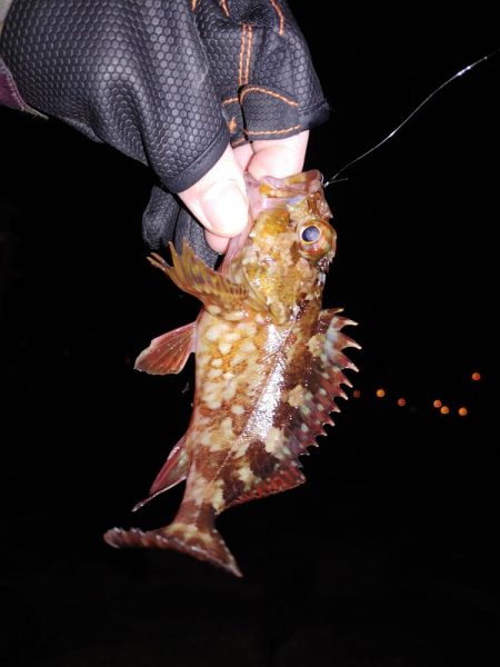 激渋メバリング