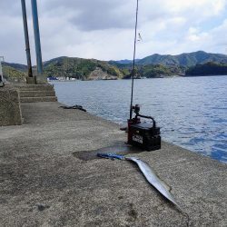 タチウオジギング