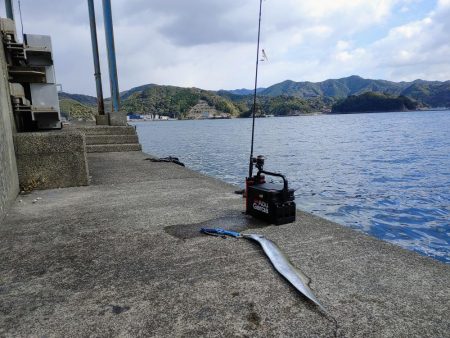 タチウオジギング