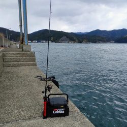 タチウオジギング＆ワインド