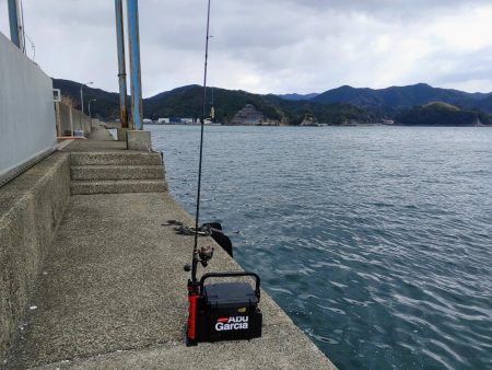 タチウオジギング＆ワインド