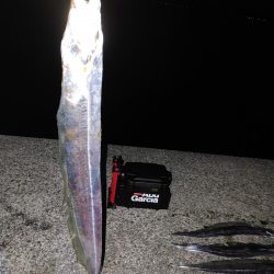 太刀魚ワインド