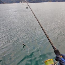 太刀魚ジギング