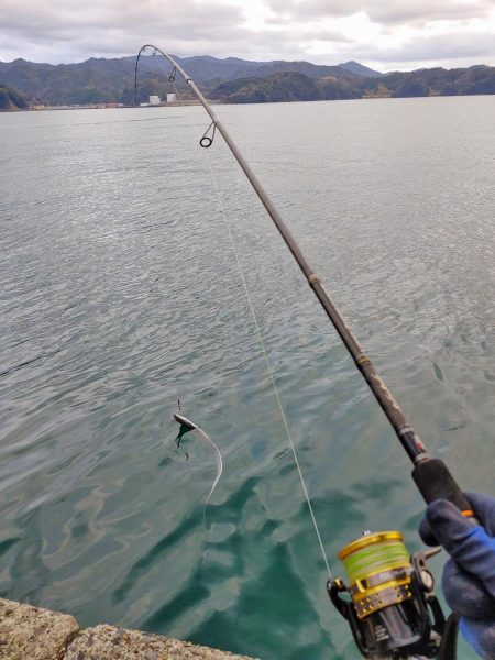 太刀魚ジギング