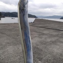 太刀魚ジギング