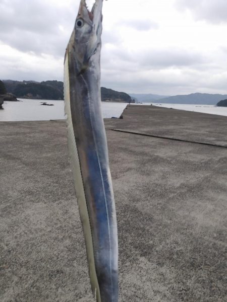 太刀魚ジギング