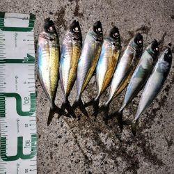 あたりが小さい