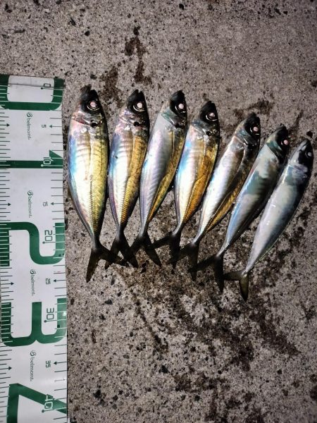 あたりが小さい