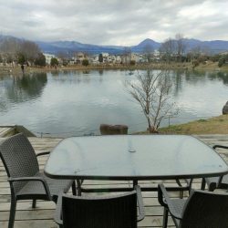 やっぱり渋かった!