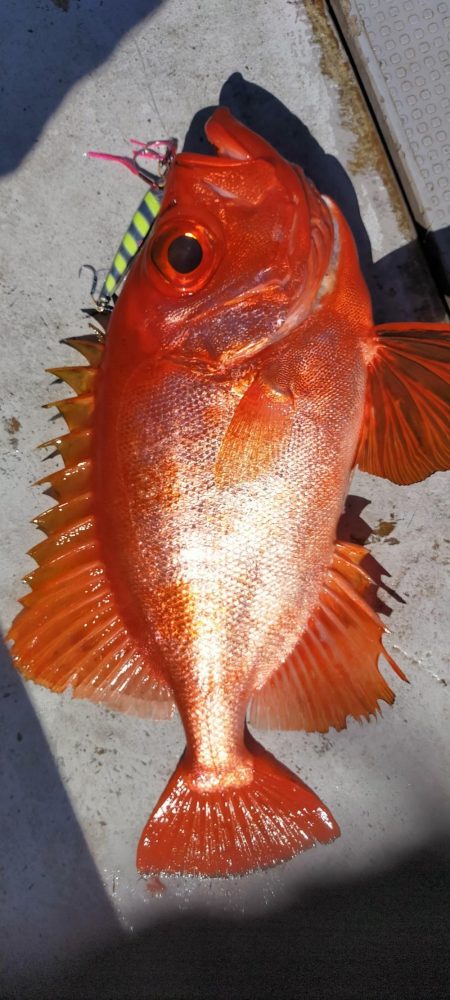 良型ウマイやつ