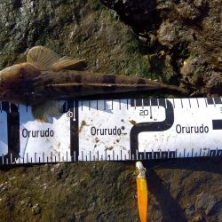 真冬のフラット狙い…なのに…