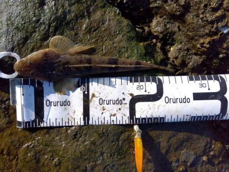 真冬のフラット狙い…なのに…