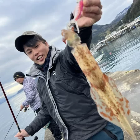 またまたデイゲーム