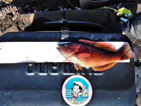 フカセ‥最高ですネ・・