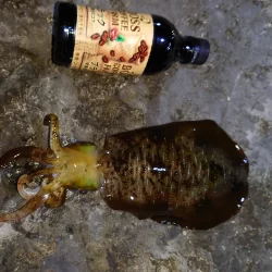 シーズン初イカ