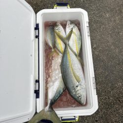 串本カセ　リベンジマッチ