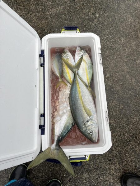 串本カセ　リベンジマッチ