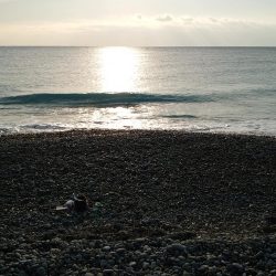 今年2本目、3本目