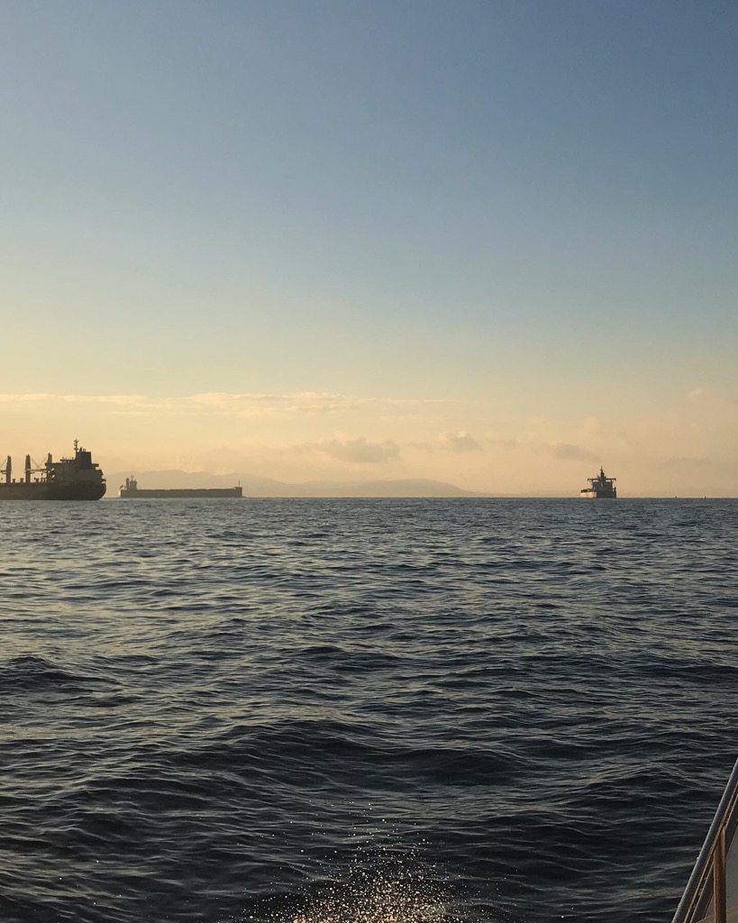 播磨カットウフグ