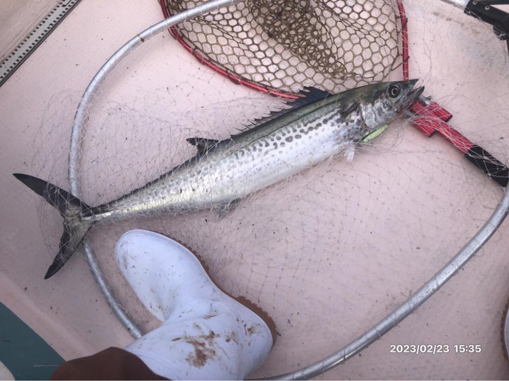 徳島県南伊島沖ジギング