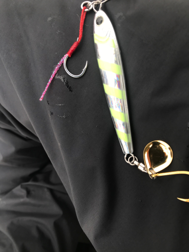 久しぶりの伊島沖