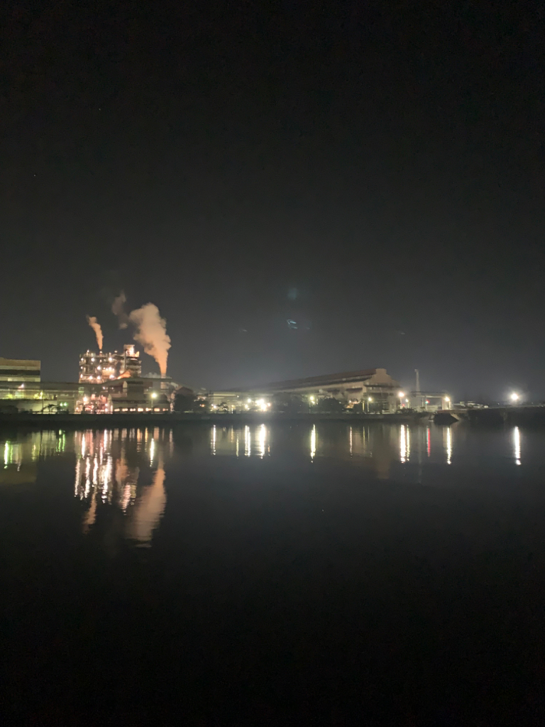 シーバスいつになったら釣れるの？