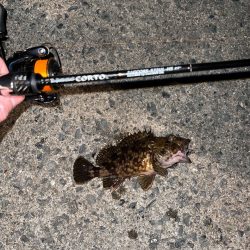 21コルトvsルナキア-徹底比較してみた