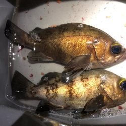 4時間頑張った！