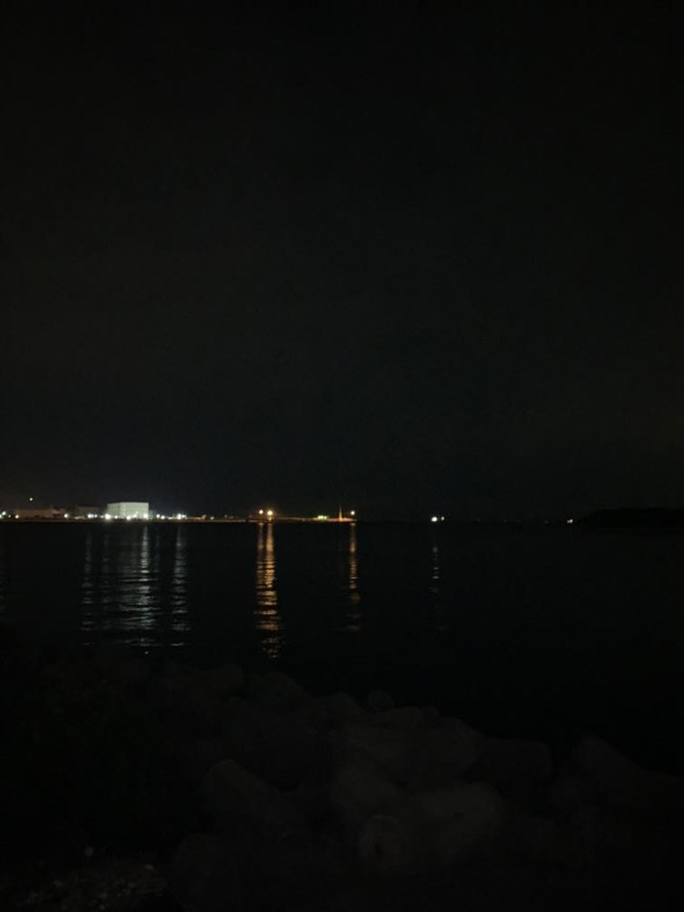 暇つぶしにガシラ！