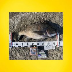 指先がかじかむことなく。