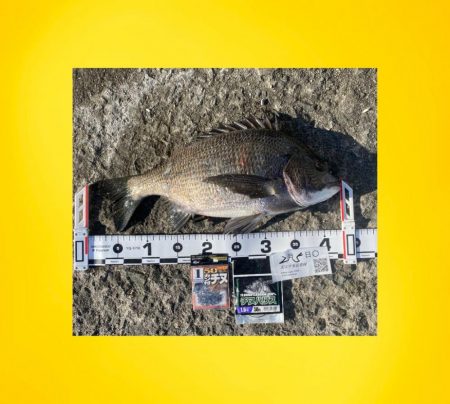 指先がかじかむことなく。