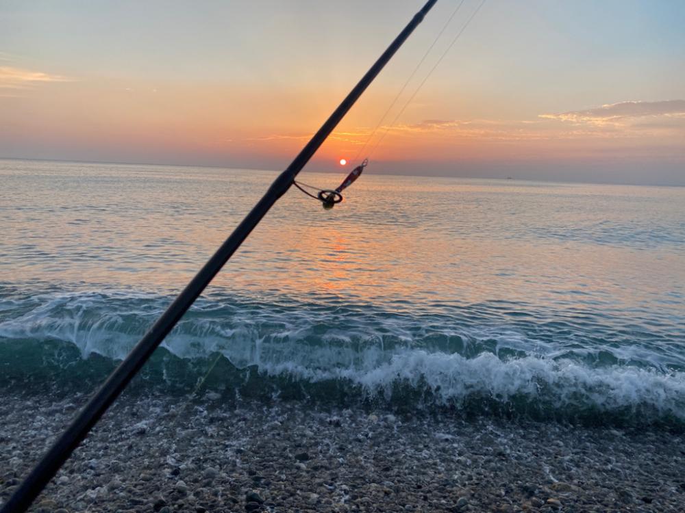 浜はサゴシ好活性