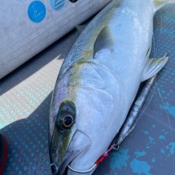 ヒラマサジギング