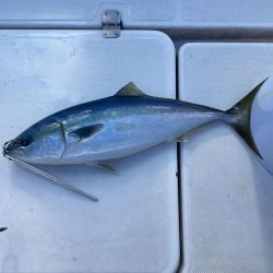 寒鰤ジギング⋆*🐟