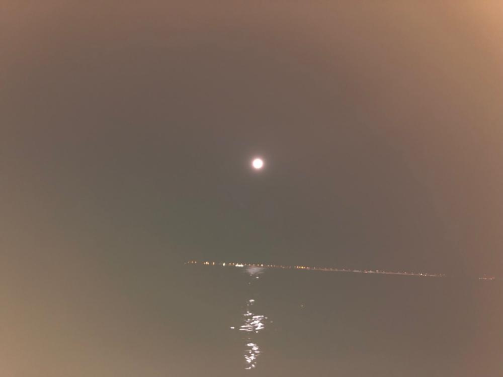 メモリアルフィッシュ