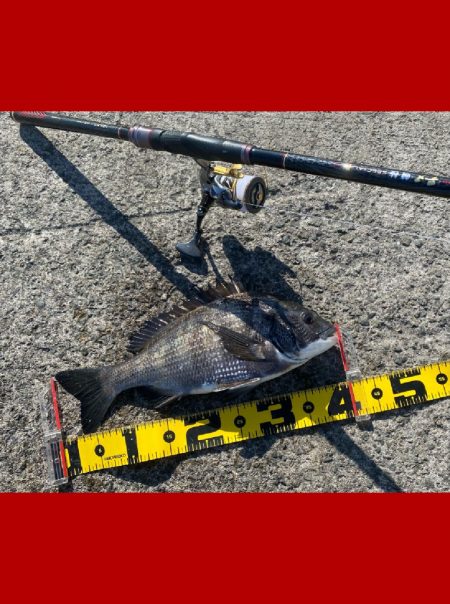 少し寒さもやわらぎ釣り日和。