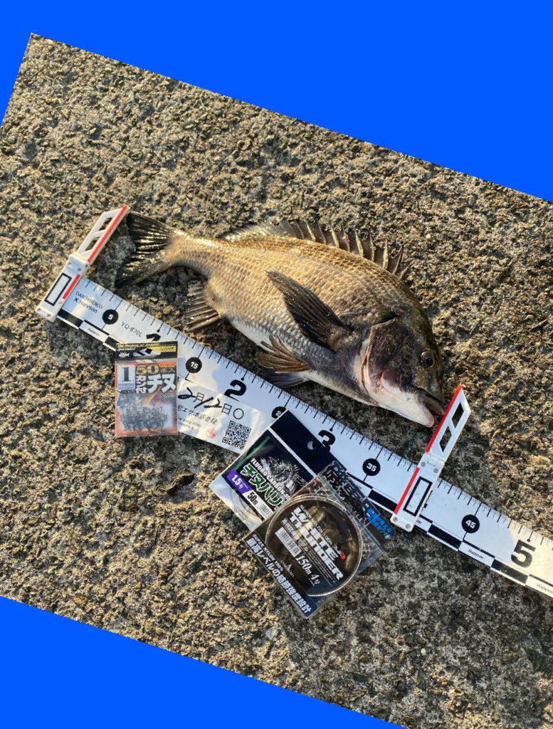 風も無くベタ凪の暖かい日