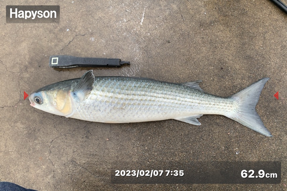 なんとしても釣りたくて…