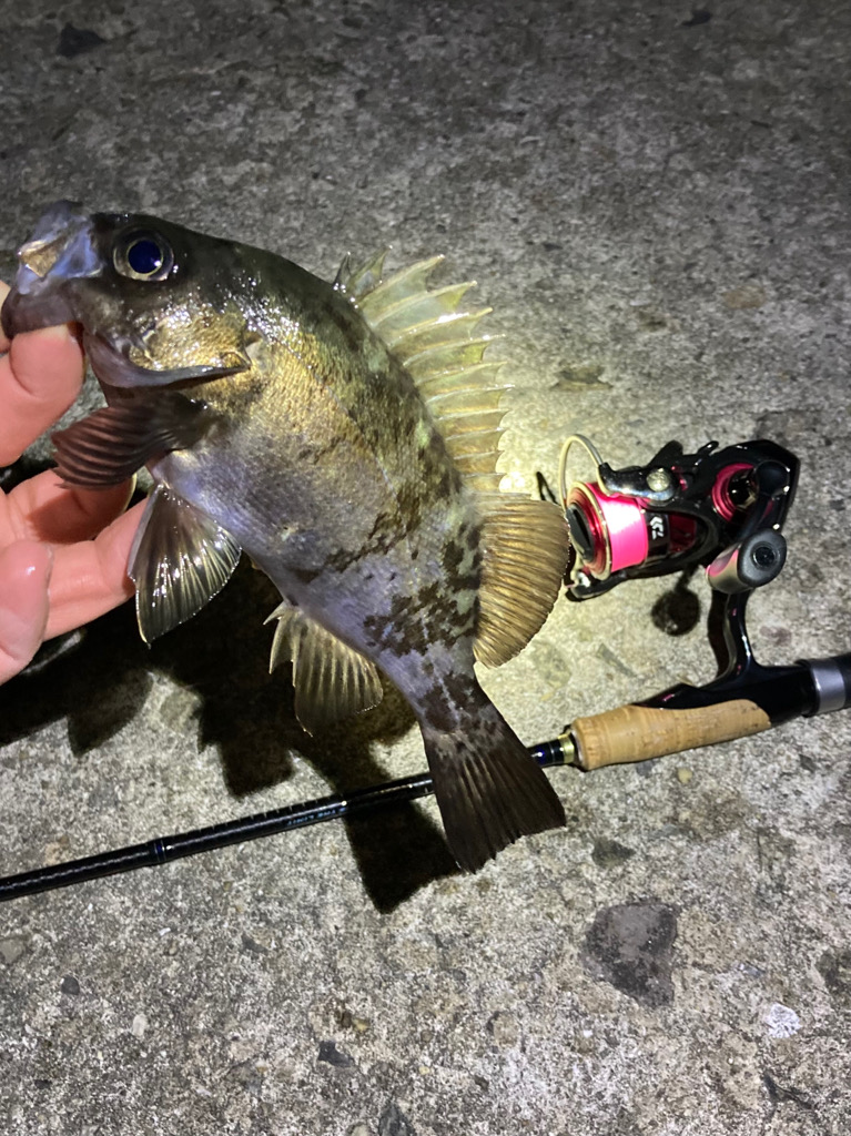 アフター回復傾向