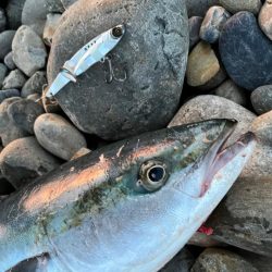 マキマキバイブを信じて投げ続けると