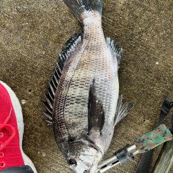 遠矢ウキサイコー