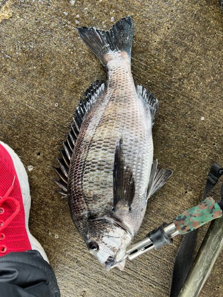 遠矢ウキサイコー